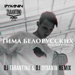 Виконавець: DJ DYXANIN