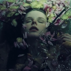 Виконавець: HOLLY