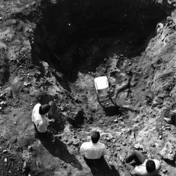 Виконавець: Omeria