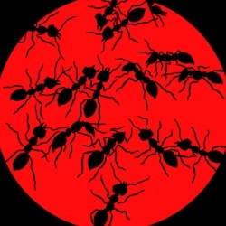 Виконавець: рома майк