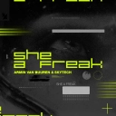 Armin van Buuren & Skytech - She A Freak