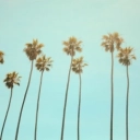 Besomorph & Besomage & Nito-Onna & BRAN - California Dreaming