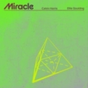 Calvin Harris & Ellie Goulding - Miracle (with Ellie Goulding)