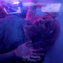 Дао парк - Lovemusic