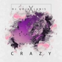 DJ Goja & Nito-Onna - Crazy