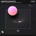 Dubdogz & Bhaskar - Infinity - Dubdogz & Bhaskar Edit