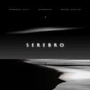 Francesco Ricci & Shakhbanov & Matteo Scalvini - Serebro
