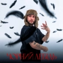 Гоня - Чорний лебідь