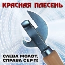 Красная плесень
- Актриса и биполярка