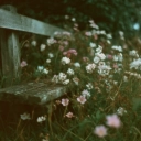 Lyraen - Under Branches