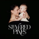 Marta Adamchuk - Silvered Pines