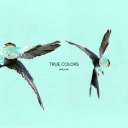 Omeria & Cafe De Anatolia - True Colors