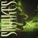 ROONIN - SNAKES