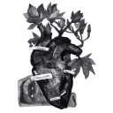 Schmalgauzen - Jessica - Single Version