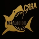 Сява - Мегалодон - Новая школа