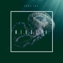 Tony Igy - MEDUZZA