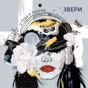 Звери - Котёнок