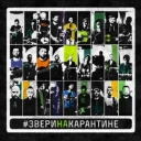 Звери - Котёнок (Home Version