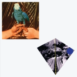 Andrew Bird - Capsized