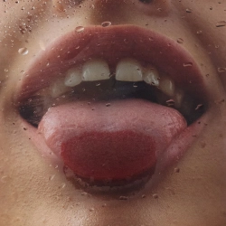BAHROMA - Котики