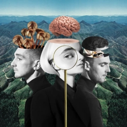 Clean Bandit & Zara Larsson - Symphony (feat Zara Larsson)
