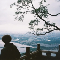 corn wave - new year theme 2026