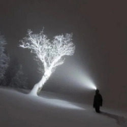 Crystalline - I'm God - Best Part Looped