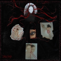 DAKOOKA - Принятие