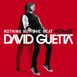 David Guetta & Ne-Yo & Akon - Play Hard (feat Ne-Yo & Akon)