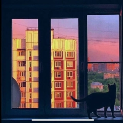 Давиденко - Айстри