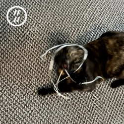 діти інженерів - Навушники