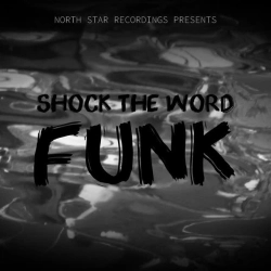 DJ FLPX & DJ VNGX & North Star - shock the word funk - sped up