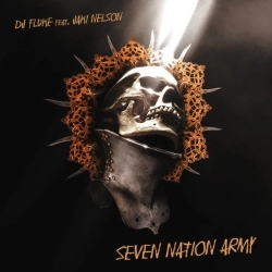 DJ Fluke & Jaki Nelson - Seven Nation Army