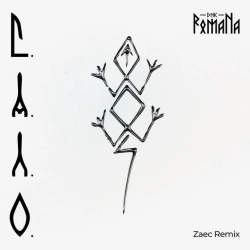 DNK RomaNa & ZAEC - САЛО - Zaec Remix