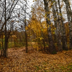 Ecveezer - Air - New Version