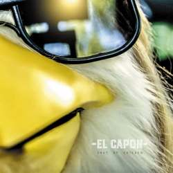 El Capon - Shut Up Chicken - Radio Edit