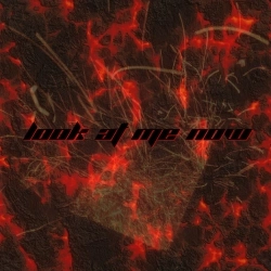 fredbydredd - Look at Me Now - Remix