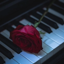 Gibran Alcocer - Idea 7