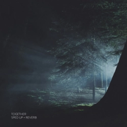 Jay Aliyev - Together (Sped Up + Reverb)