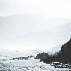 Jellis - Vessel