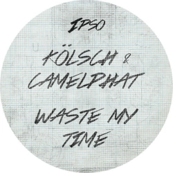 Kölsch & CamelPhat - Waste my time