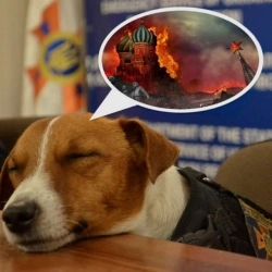 Леся Нікітюк & Степан Гіга - Цей сон