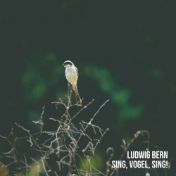 Ludwig Bern - Sing, Vogel, Sing!