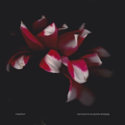 meerkur - цікавить лиш шлях