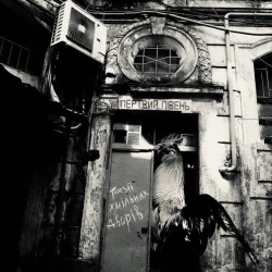 Мертвий півень - Поезія хмільних дворів