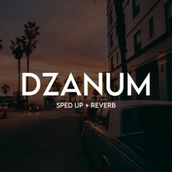 Music Wala - Džanum (Sped Up + Reverb)