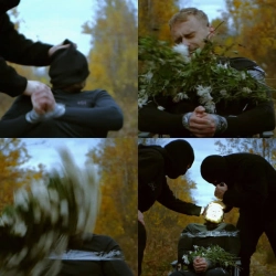 Nickilay - Хотіла (Квіти)