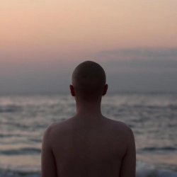 Paloven - hidden faces