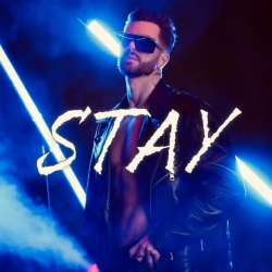 Petr Zelenin - Stay