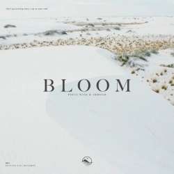 Piece Wise & Abroad - Bloom